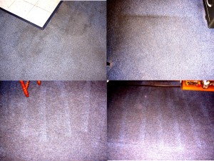 Green Power Carpet Cleaning Results